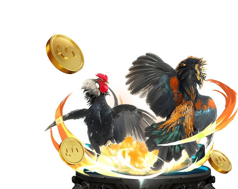 Hoàn Trả Thể Thao và Casino Fly88